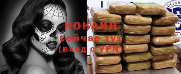 гидра Вязники