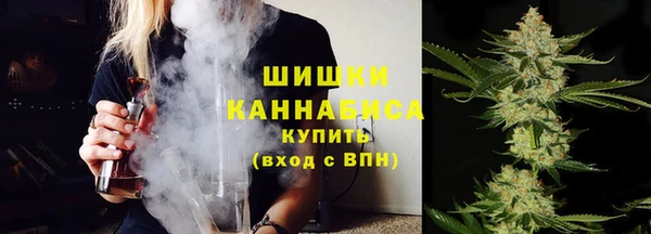 шишки Вяземский