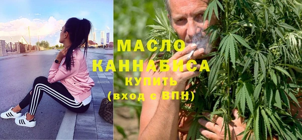 молекула духа Вязьма