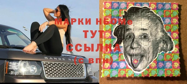 шишки Вяземский