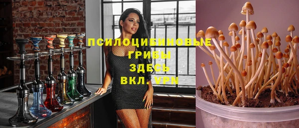 молекула духа Вязьма