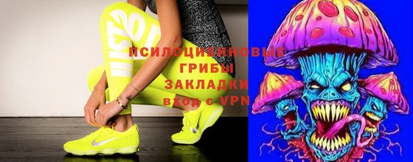 гидра Вязники
