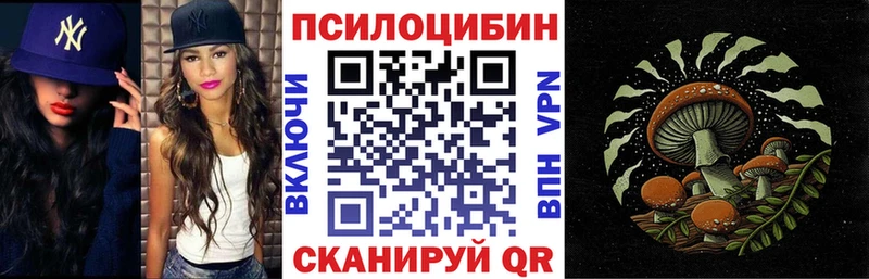 закладка  Лосино-Петровский  Псилоцибиновые грибы Psilocybine cubensis 