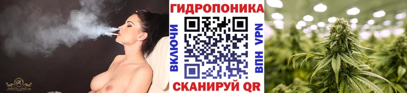Каннабис OG Kush  Лосино-Петровский 